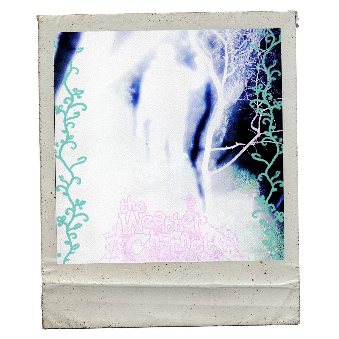 Weather World Grocery Tote